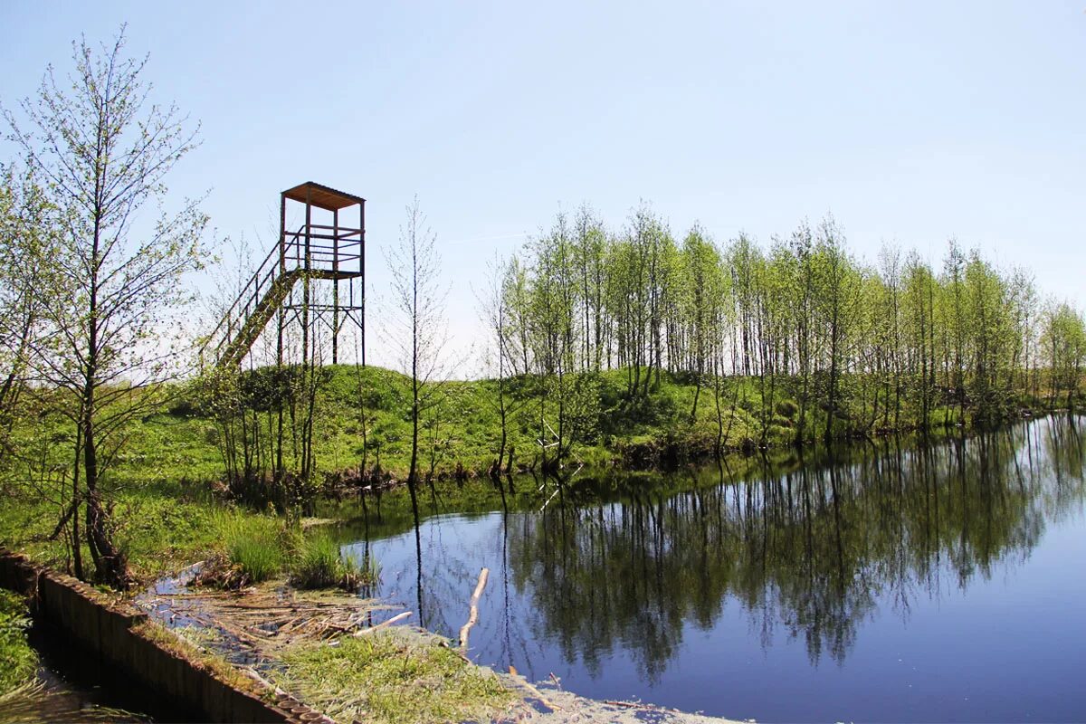 Болотная 2 иваново. Водонапорная вышка болота. Вышка в болоте. Водяная вышка. Башня на болотах.