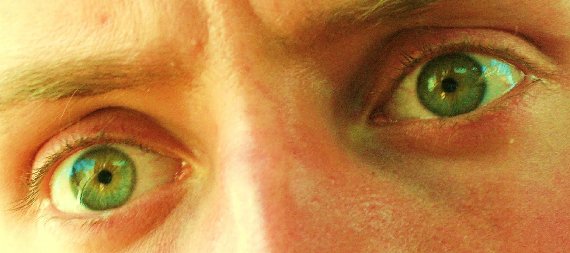 Желтый глаз 13. Жёлто-зелёный цвет глаз. Болотно зеленые глаза. Желто зеленые глаза. Ярко зеленые глаза.