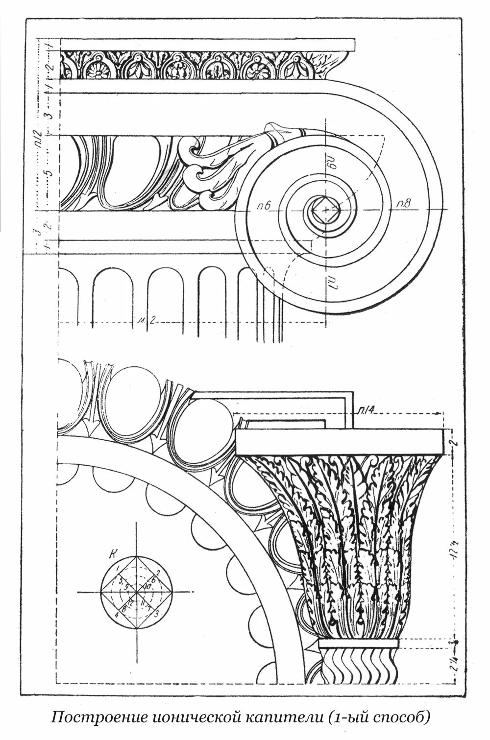 Валюта ордера. Капитель Ионического ордера построение. Кпптель иронического ордена. Капитель Ионического ордера чертеж. План капители Ионического ордера.