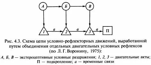 Рефлексы ответная реакция на раздражитель. Рефлекторные движения человека. Безусловные рефлексы биология 8 класс. Рефлекс и рефлекторная дуга условные и безусловные рефлексы. Движения условно рефлекторные движения.