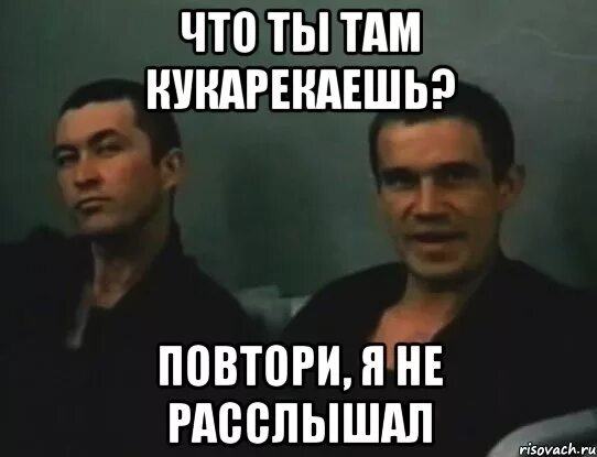 Повторял сообщение раз. Петух закукарекал. Пистон петух закукарекал. Петухи взбунтовались. Беспредел мемы.