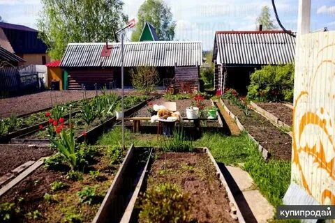 Максаковские дачи сыктывкар