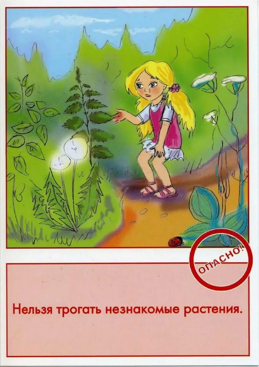 Поведение в лесу летом. Безопасность на природе. Безопасное проведение на природе. Безопасное поведение на природе. Нельзя трогать незнакомые растения.