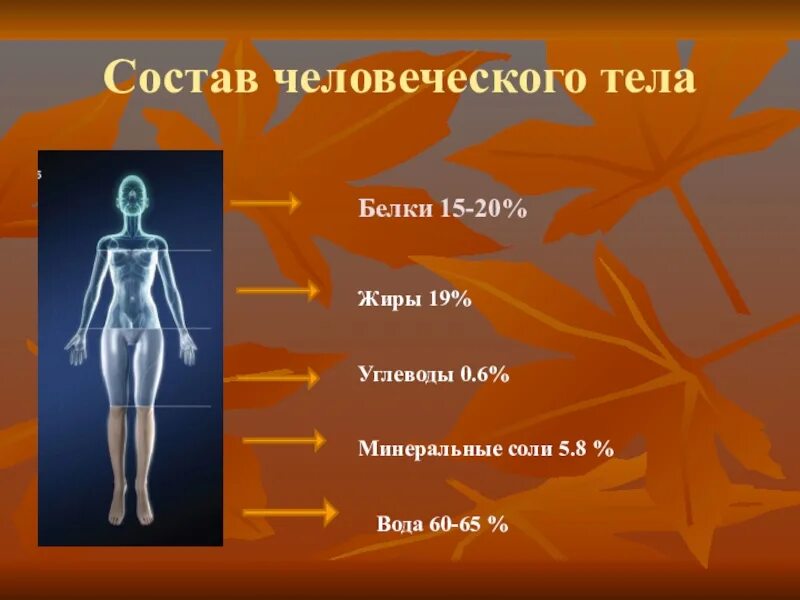 Жиры и минеральные соли