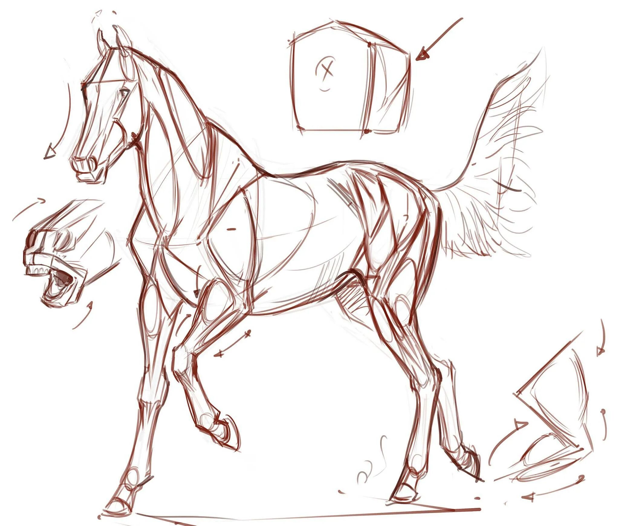 Sketch draw paint