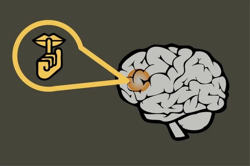 Speech brain