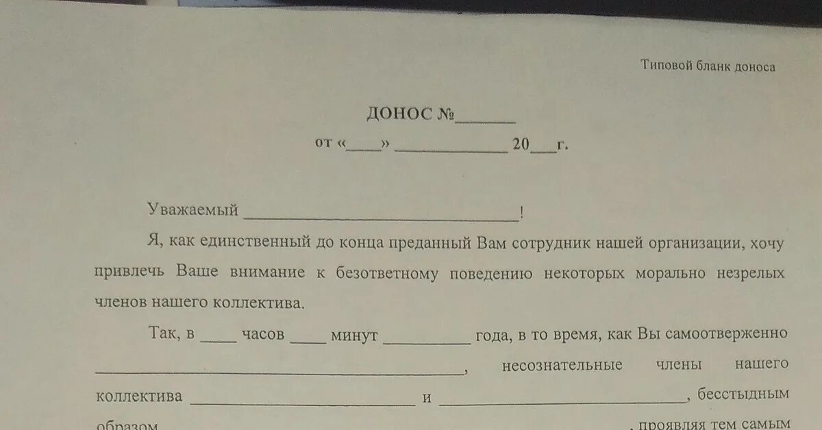 Жалоба донос. Бланк доноса. Донос бланк образец. Шуточный донос. Форма доноса образец.