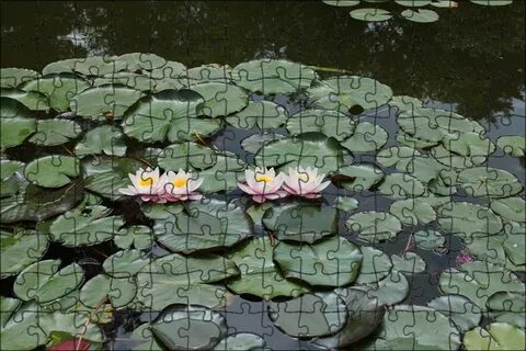 Flower pond