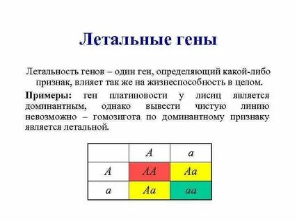 Летальный генотип