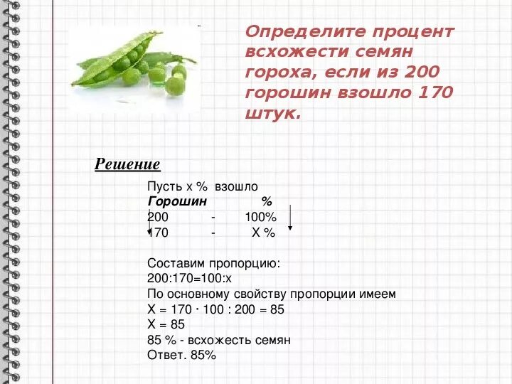 Как определить процент всхожести семян. Таблица классификации семян по всхожести семян. Исследование определить процент всхожести семян. Как подсчитать процент всхожести семян:.