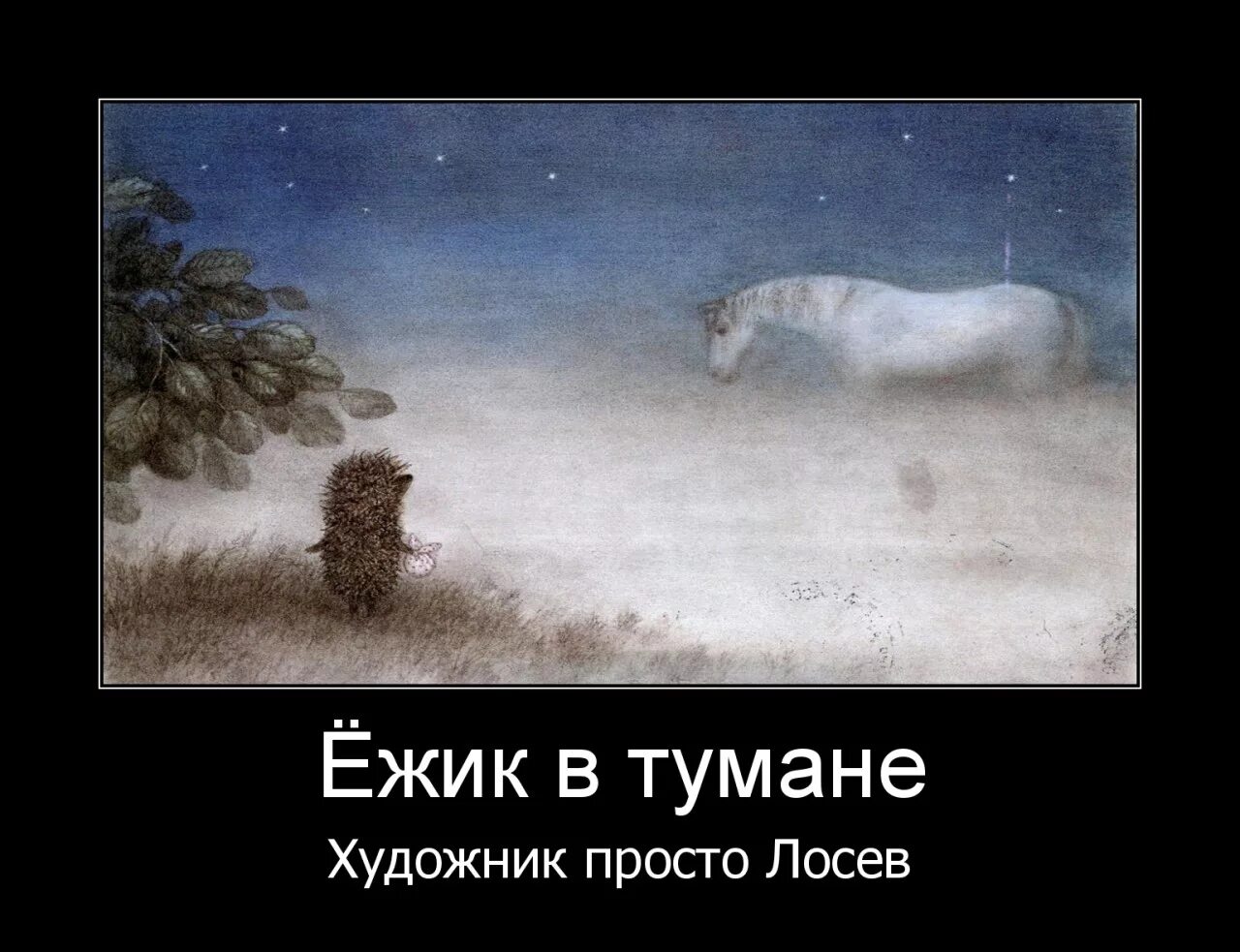 Отрывок ежик. Отрывок ежик. Отрывок ежик. Отрывок ежик. Ёжик в тумане.