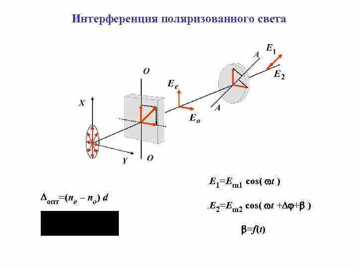 Поляризация формула Малюса. Формула Малюса при поляризации света. Закон Малюса при поляризации света. Закон Малюса для поляризованного света график. Поляризация законы