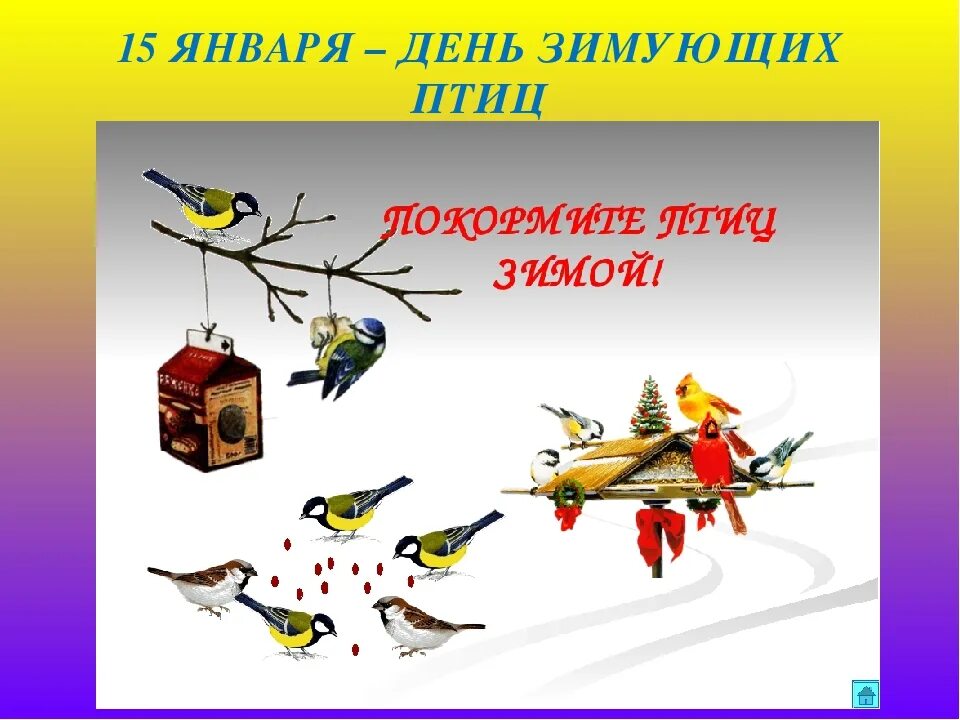 15 января праздник день зимующих птиц. 15 января день зимующих птиц. праздник зимующих птиц. день зимующих птиц россии. праздники птиц в январе.
