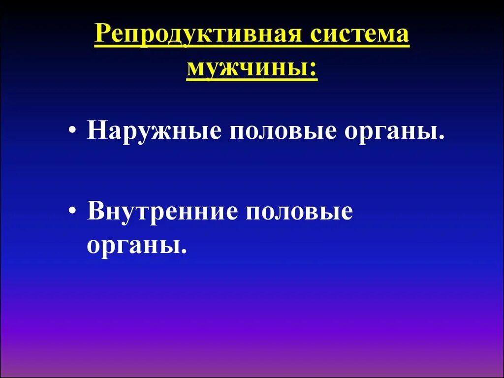 Репродуктивные органы мужчины. Репродуктивная система. Функции репродуктивной системы. Репродуктивная функция мужчины. Функции репродуктивной системы мужчины.