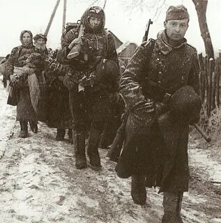 Дивизия викинг
