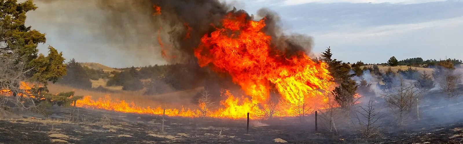 Экология пожары. Влияние пожаров на окружающую среду. Влияние лесных пожаров на почву. Воздействие пожара на почву. Ущерб от пожара третьим лицам