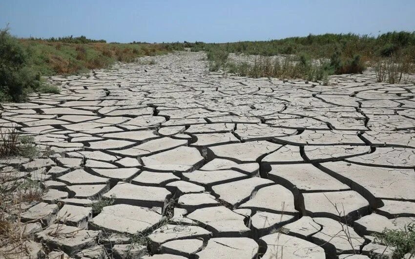 Засуха в мире. Засуха. Засуха 2010 года. Пустыня засуха. Засуха во Франции.