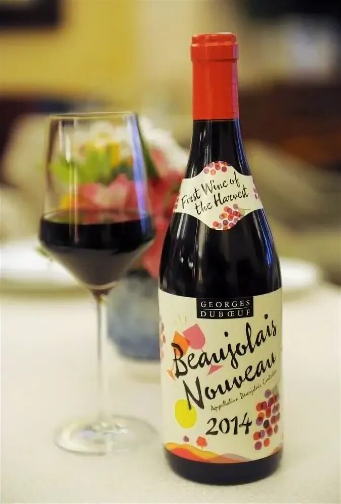 Вино красное сухое BEAUJOLAIS NOUVEAU Jardin de Fete отзывы