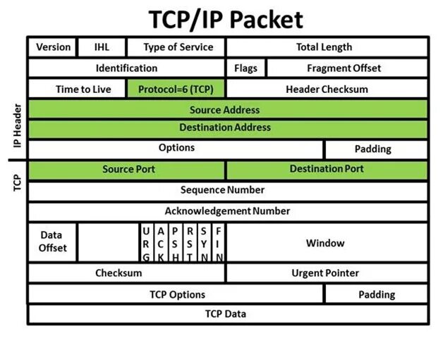 Структура пакета Ethernet TCP/IP. Пакет TCP IP структура. Структура TCP пакета. Заголовок пакета TCP.