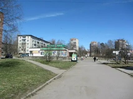 Ул сосновый бор