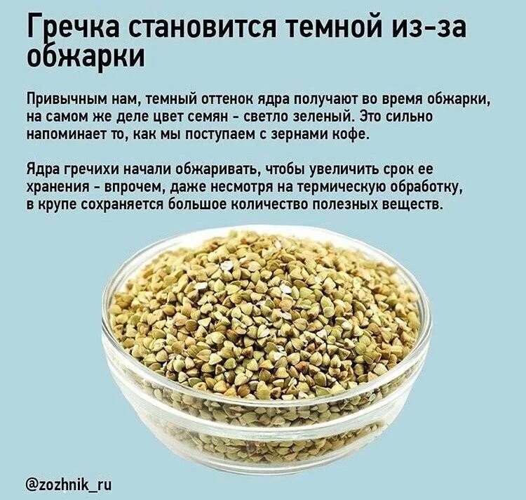 Гречиха гречневая крупа. Пророщенное зерно гречихи. Гречиха можно есть. Гречневая каша ядрица. Гречка геркулес.