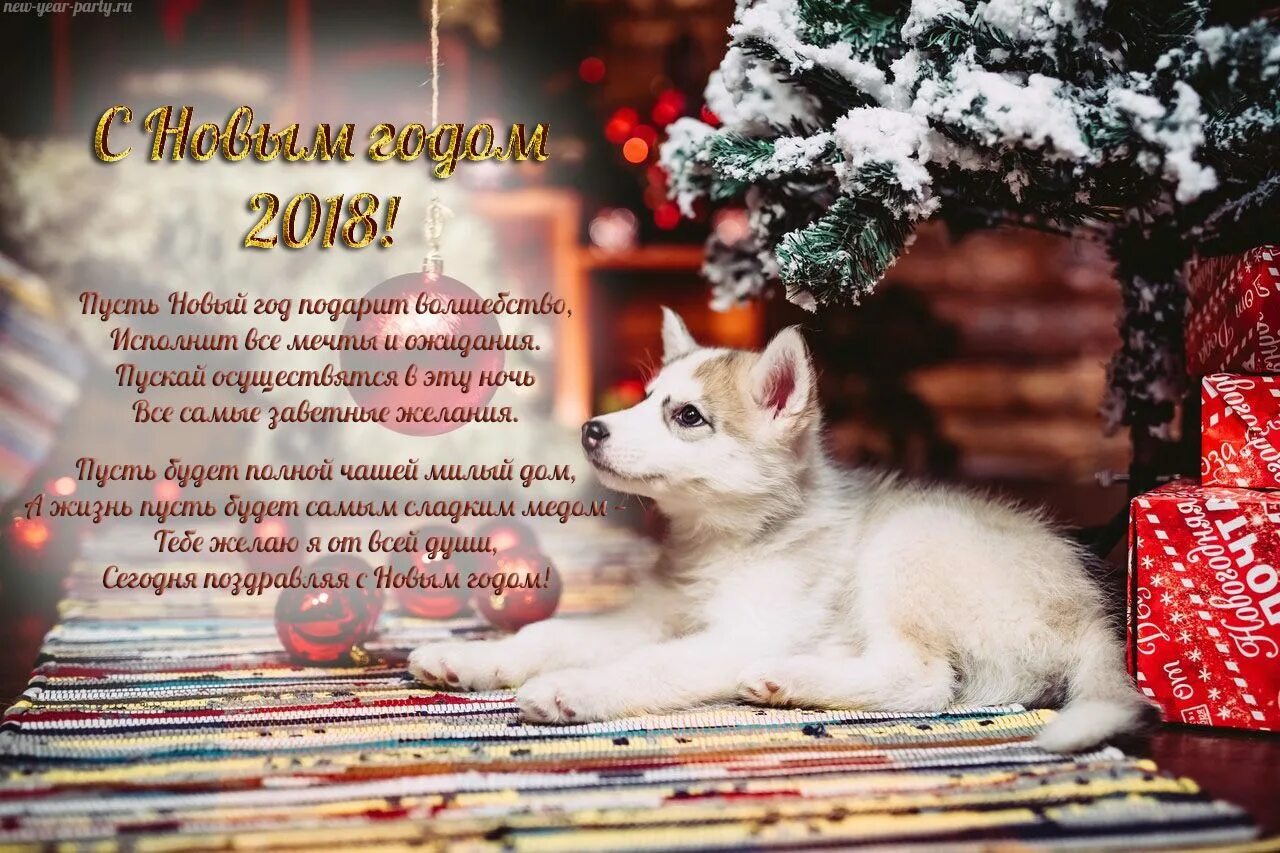 С уходящим годом собаки. Поздравление с новым годом для животных. пожелания собакам на новый год. поздравление собаки с новым годом. новогодние открытки с собаками.