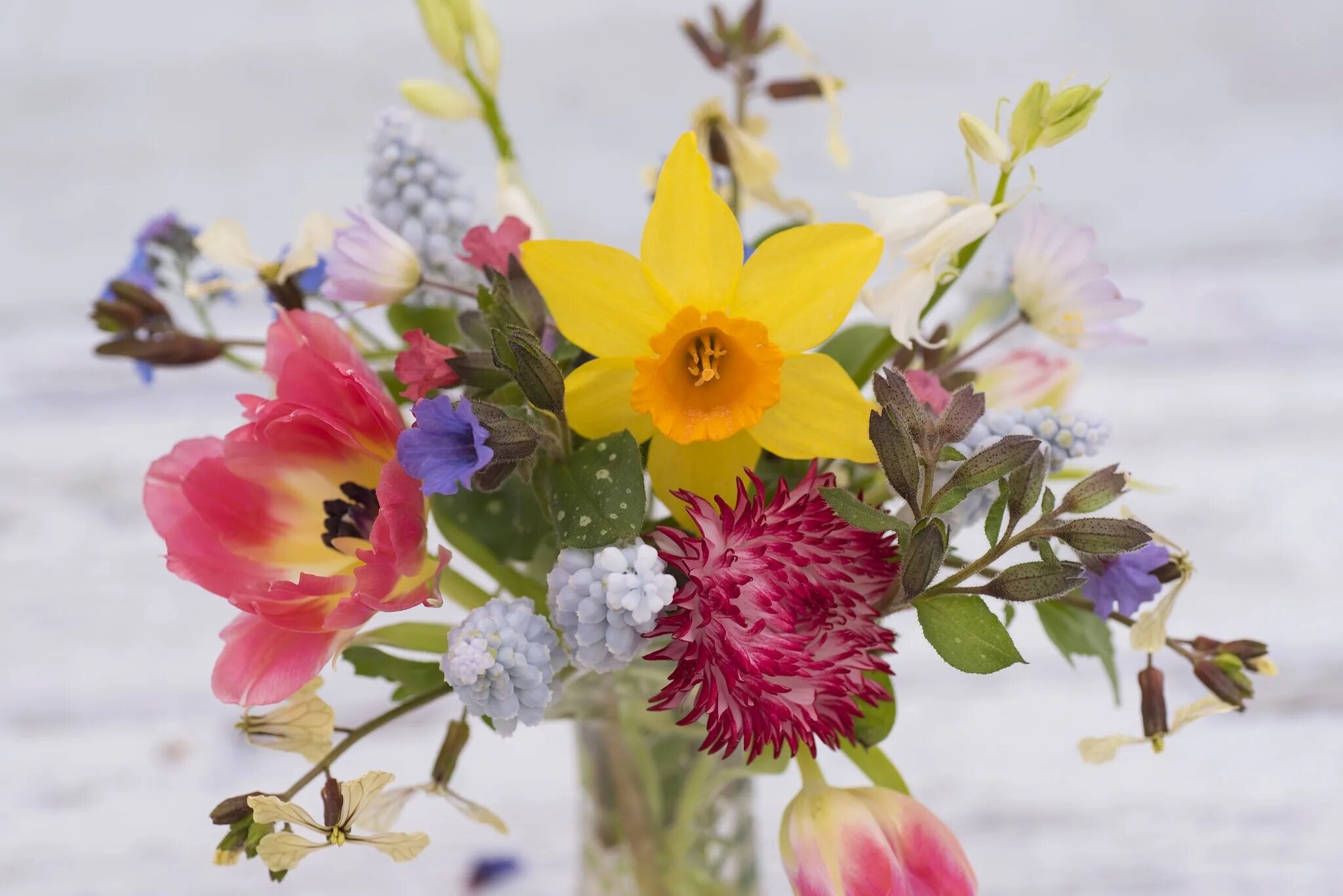 Весенний букет. Букет весны. Букет весны. Красивый весенний букет. Весенний букет.