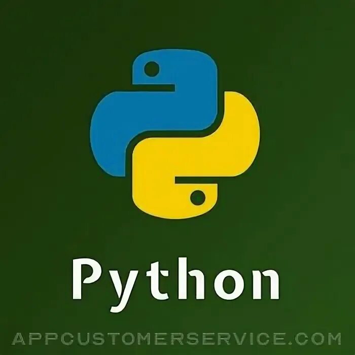 Python service