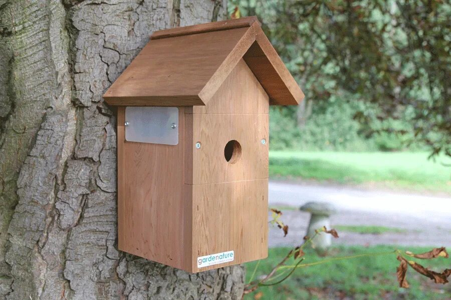 Open nest. Nest box. link box гнездо.