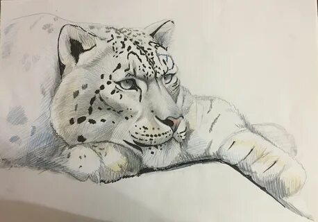 Нарисовать снежного