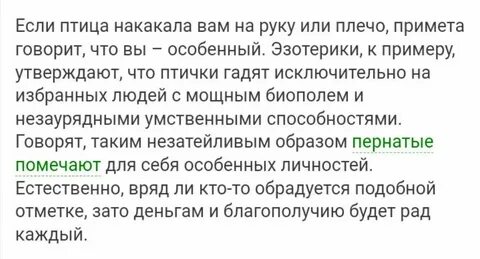 Приметы птичка накакала на руку
