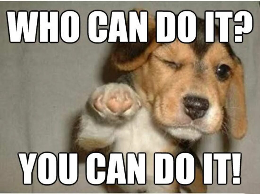 You can be funny. I did it Мем. You can do it. You can do it meme. Can i do it for you Мем.