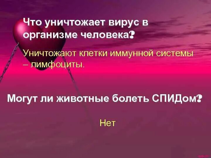 Что уничтожает вирус в организме человека. Вирус уничтожен. Разрушает вирус. Что лучше всего уничтожает вирусы в организме. Разрушить вирус