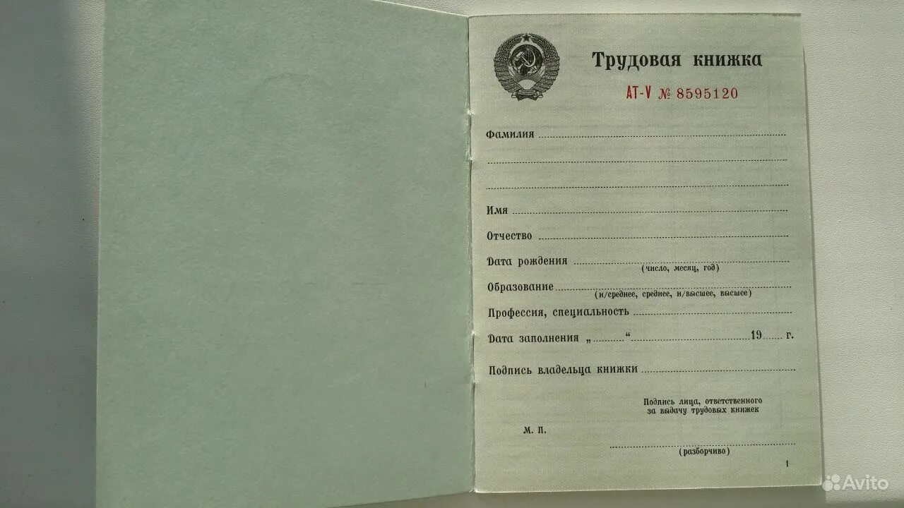 трудовая книжка первая страница пустая. сведения о работе в трудовой книжке образец заполнения. трудовая книжка образец. скан трудовой книжки. скан новой трудовой книжки.