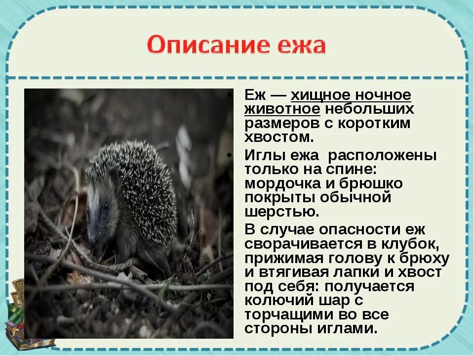 Прочитайте текст и выполните задание обыкновенный еж