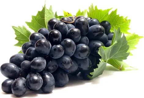 Black grape