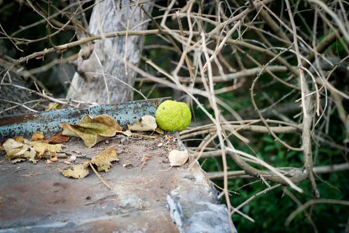 Октябрь на пороге картинки. План учебно воспитательной работы 3 класс темы. Осенняя 11. Растущая луна по фазам. Как выглядит растущая луна.