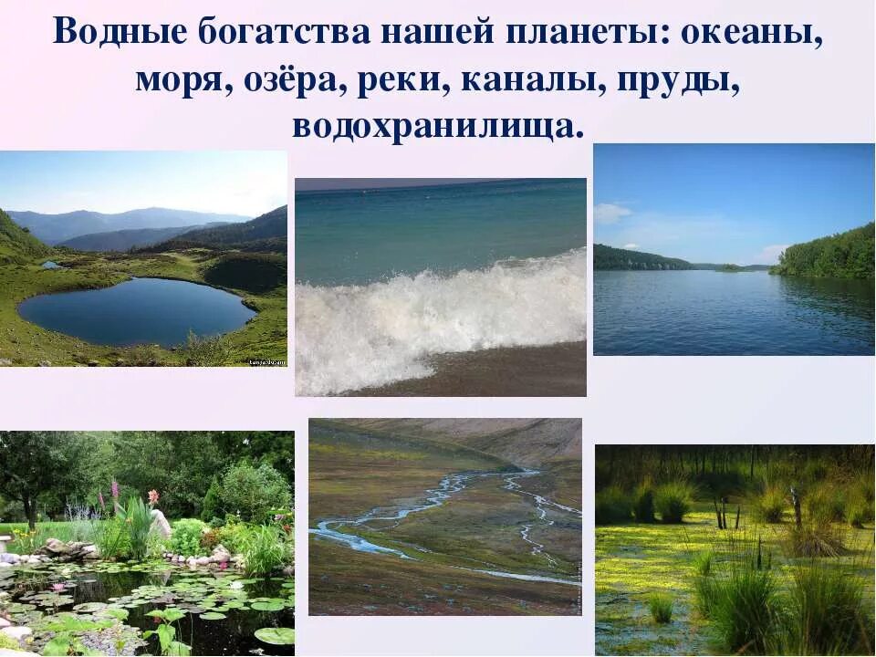 водные богатства нашего края. море океан река озеро пруд. водные богатства планеты созданные искусственно. водные богатства таблица. водные богатства 2 класс окружающий мир.