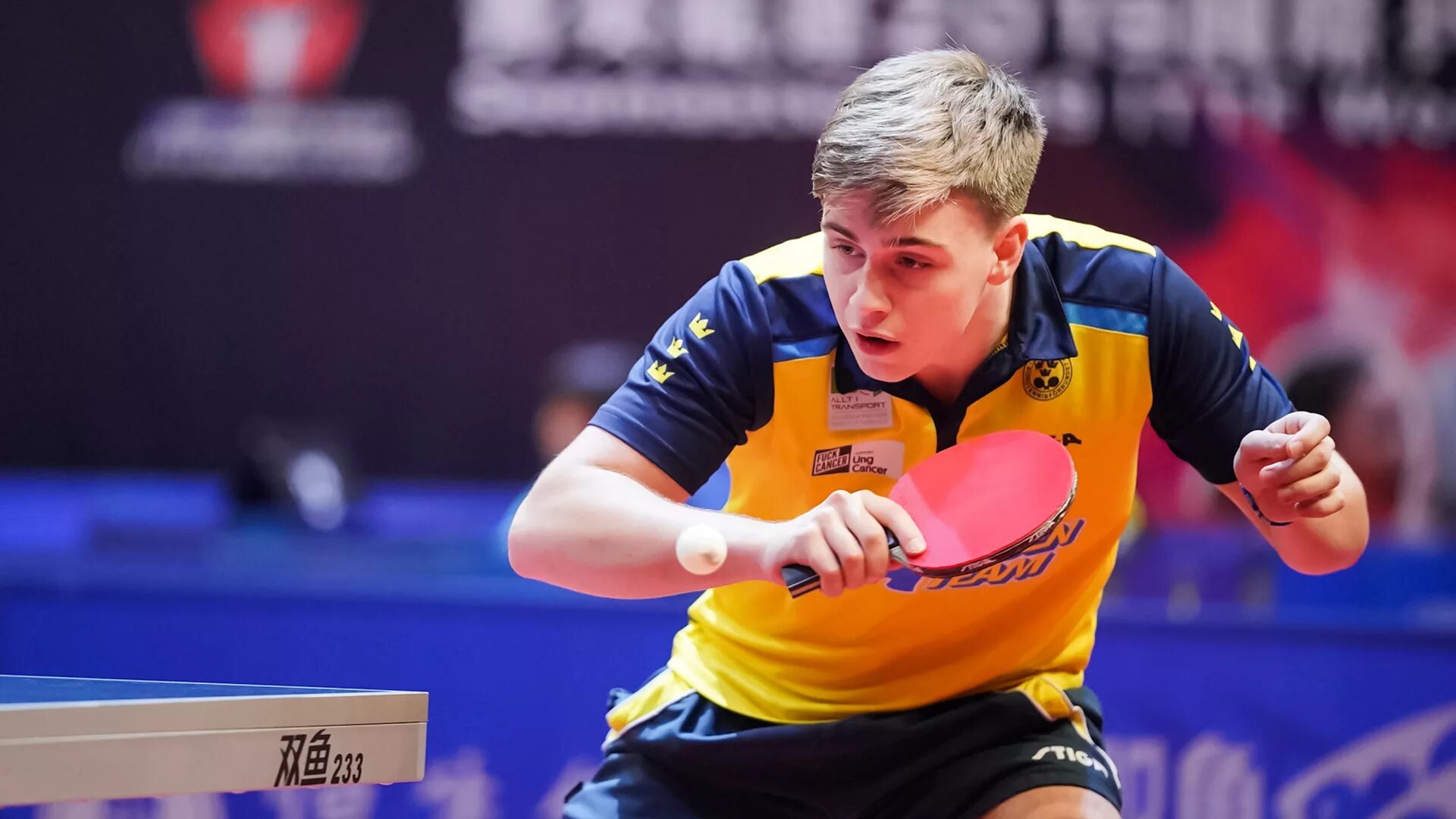 Ma long backhand. Трус морегард настольный теннис. Трулс морегард настольный теннис. Truls moregard 2022. Трульс морегард настольный теннис.