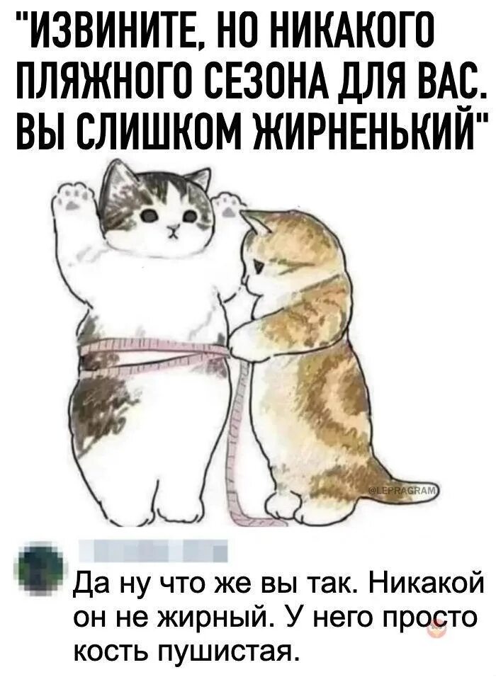 Никаких извини