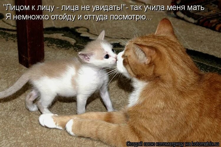 А не так либо как. А не так либо как