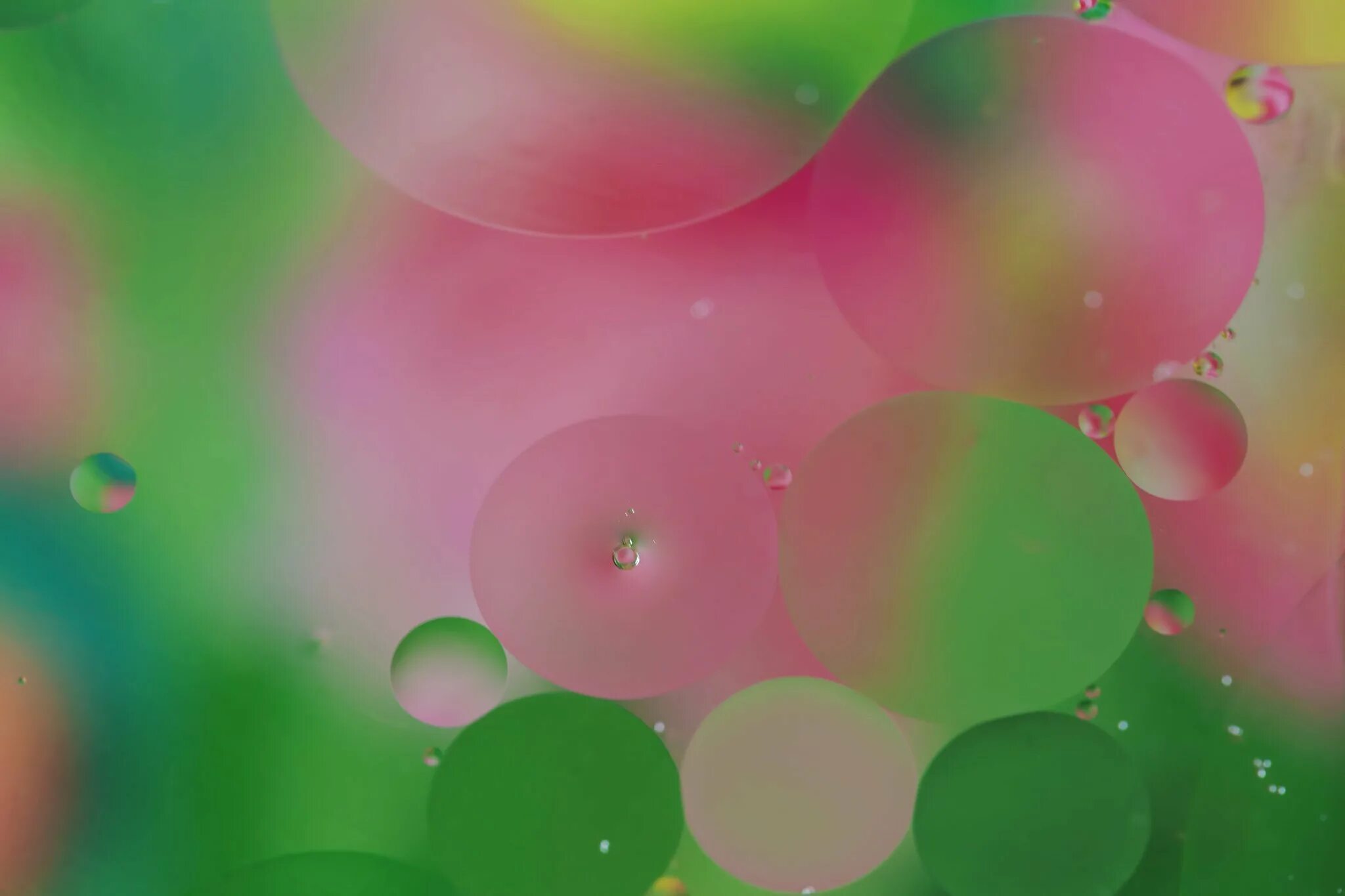 розовый/зеленый. пастельный фон. розовый градиент. абстракция в розовом цвете. салатово розовый.
