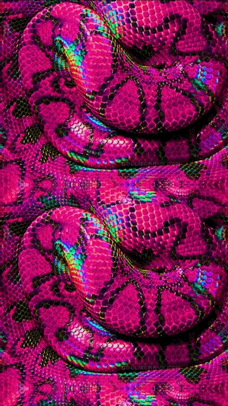 Змей на заставку телефона. Розовые змеи. Цветные змеи. Красивая змея. Фиолетовая змея.