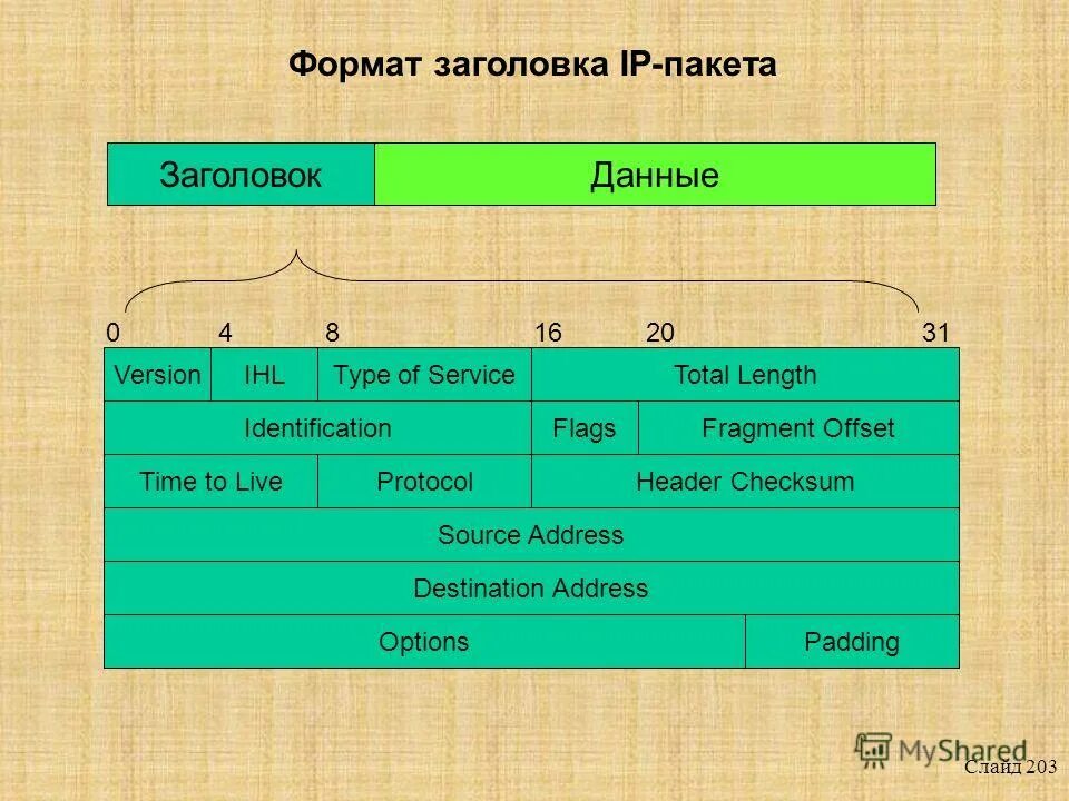 заголовок протокола ip. структура заголовка ip пакета. строение ip пакета. пакет заголовок. структура заголовка ip пакета.