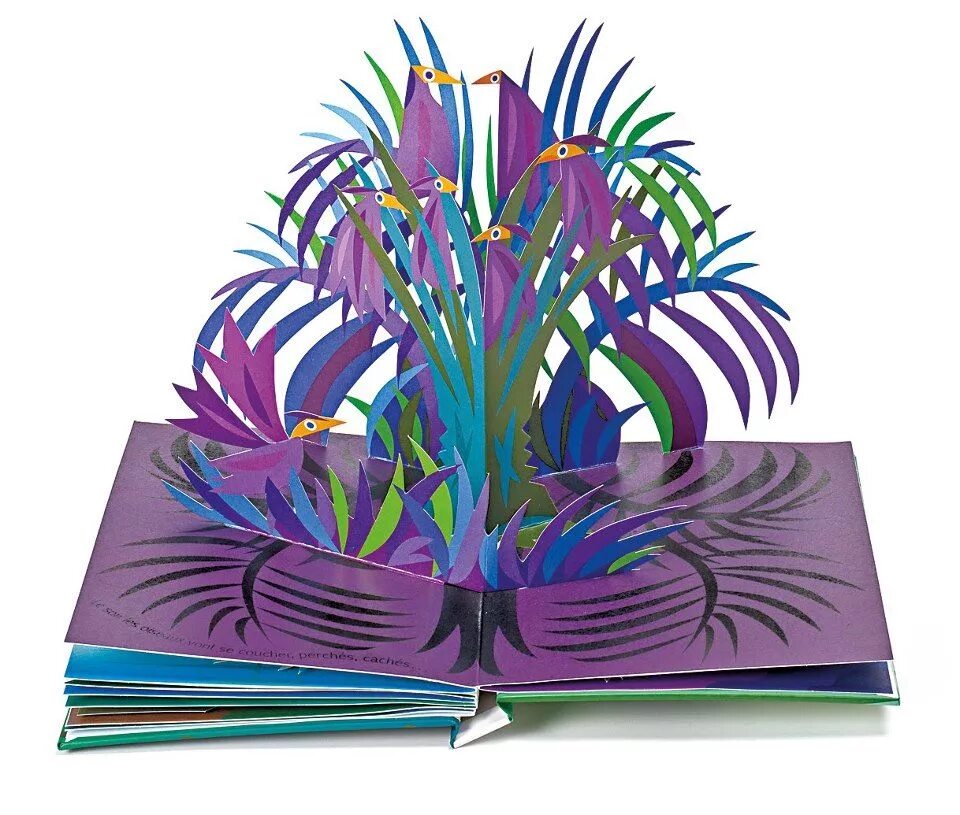 Книжи