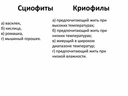 Сциофиты примеры