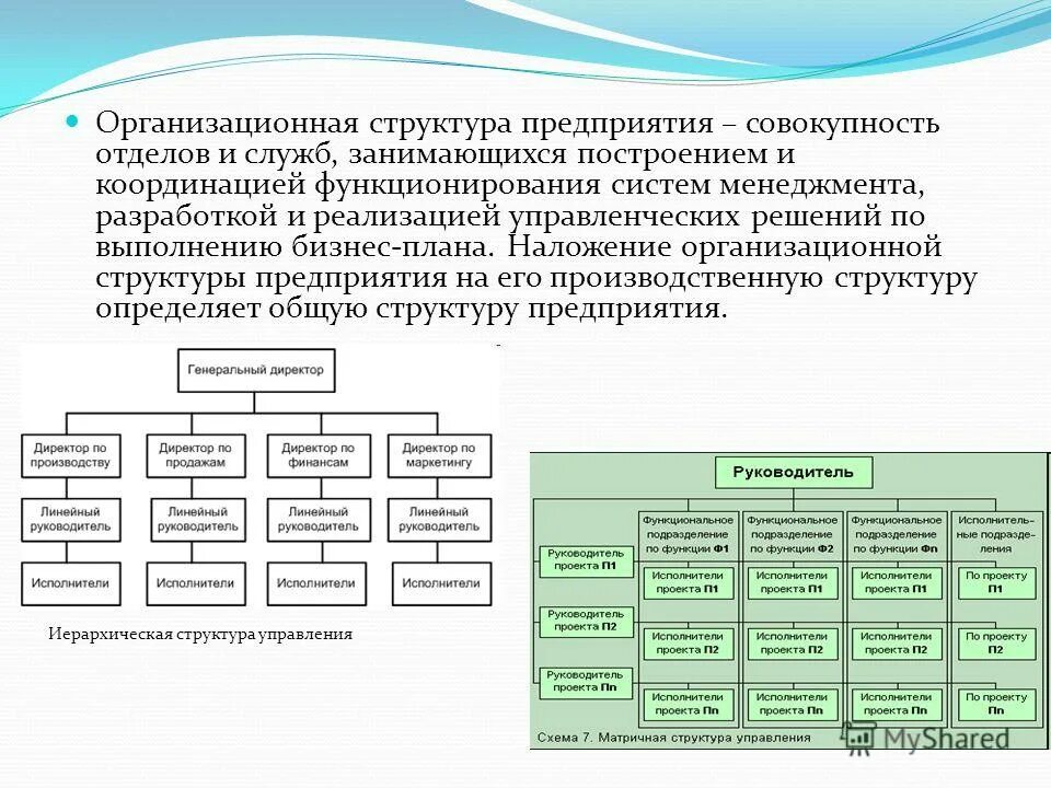 Нормы в составе организации