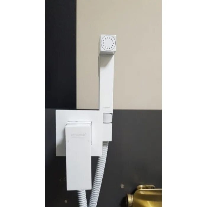 Белые встраиваемые гигиенические души. Гигиенический душ grohenberg gb001. Белые встраиваемые гигиенические души. Grohenberg mini gb001. Grohenberg mini gb001 белый.