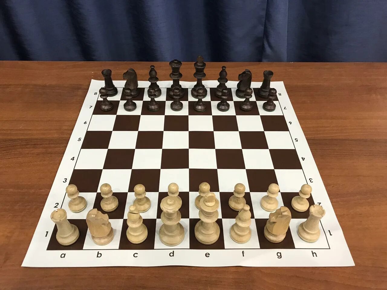 Шахматы названия фигур и расстановка. Ценность фигур в шахматах. Шахматы с компьютером. Партии в шахматы ходы. Легенда о шахматной доске.