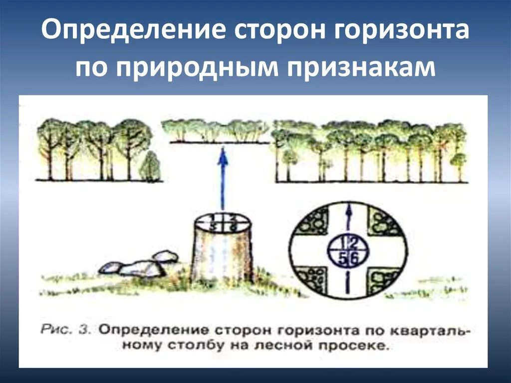 Природные признаки сторон горизонта 2 класс. Сторонв Горизонт по природным признакаи. Как определить стороны горизонта. Определить стороны горизонта по природным признакам. Определение сторон горизонта.